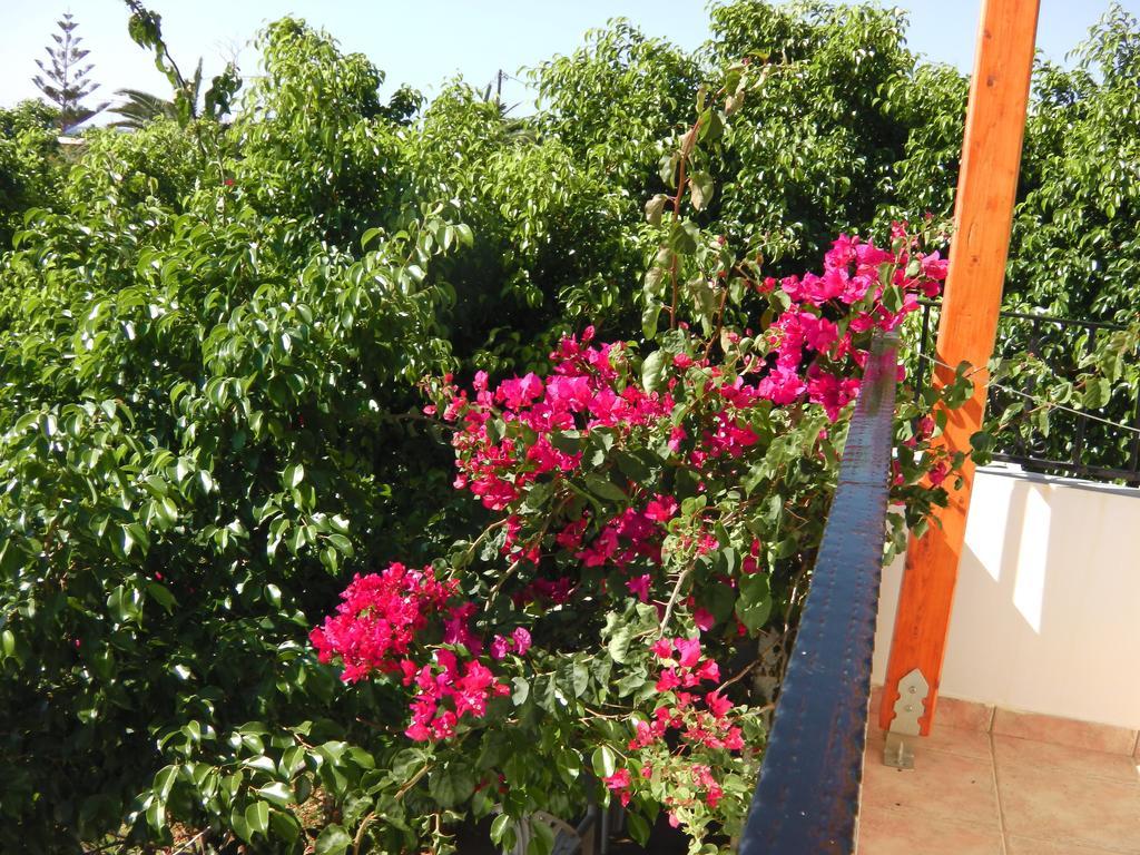Serenity Hideaway Paleóchora Chambre photo