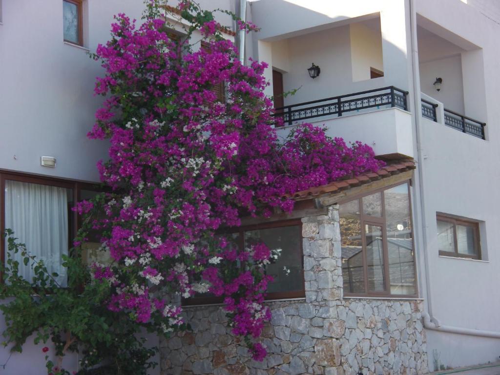Serenity Hideaway Paleóchora Chambre photo